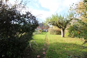 Photo 29- click for photo gallery